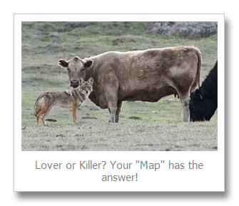 small business marketing strategies - inner game